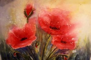 Mohn k