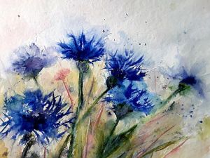 Kornblume k